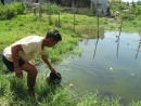 Phát bệnh ung thư vì cả làng uống nước ruộng 
